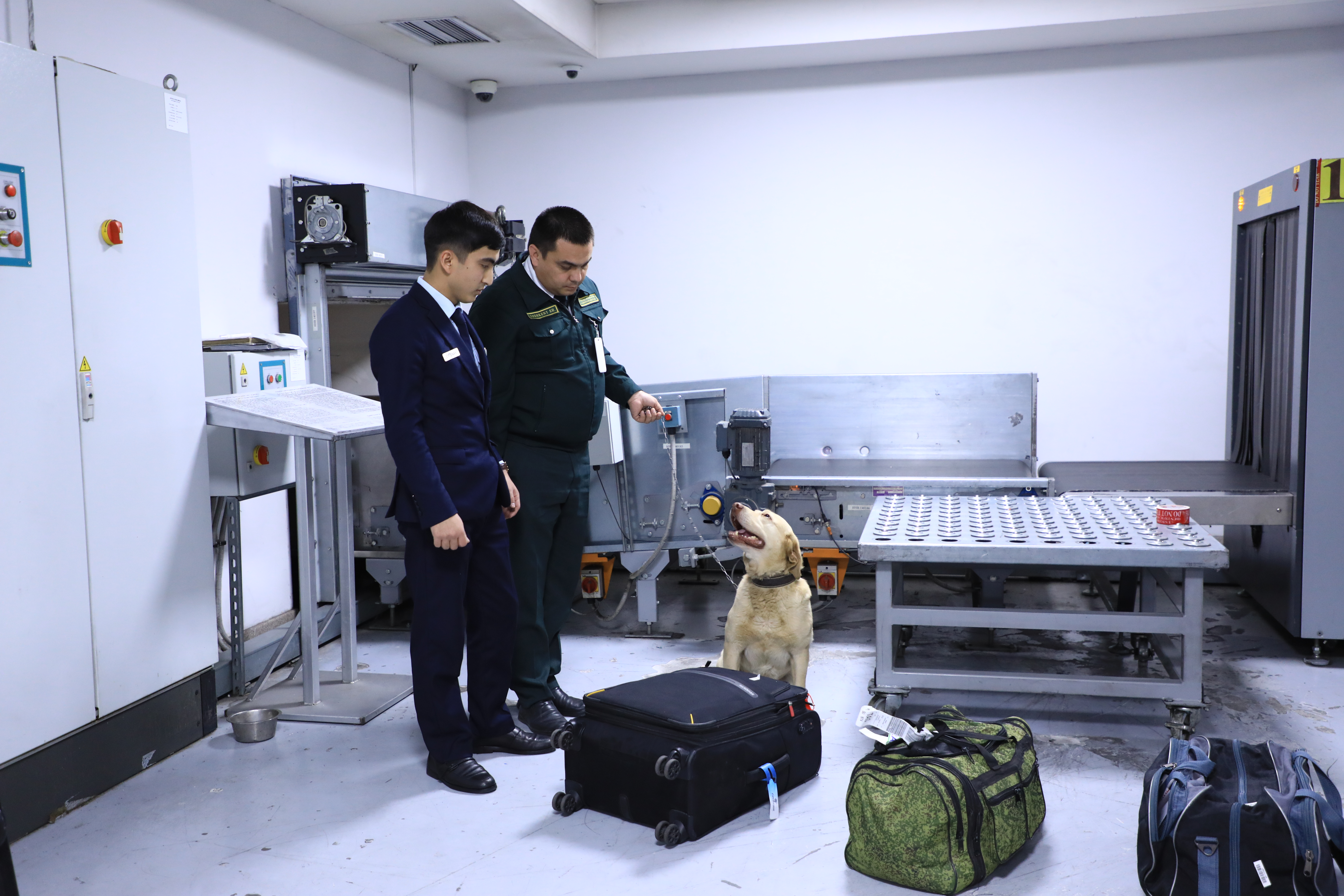 Tashkent-Aero Specialized Customs Complex