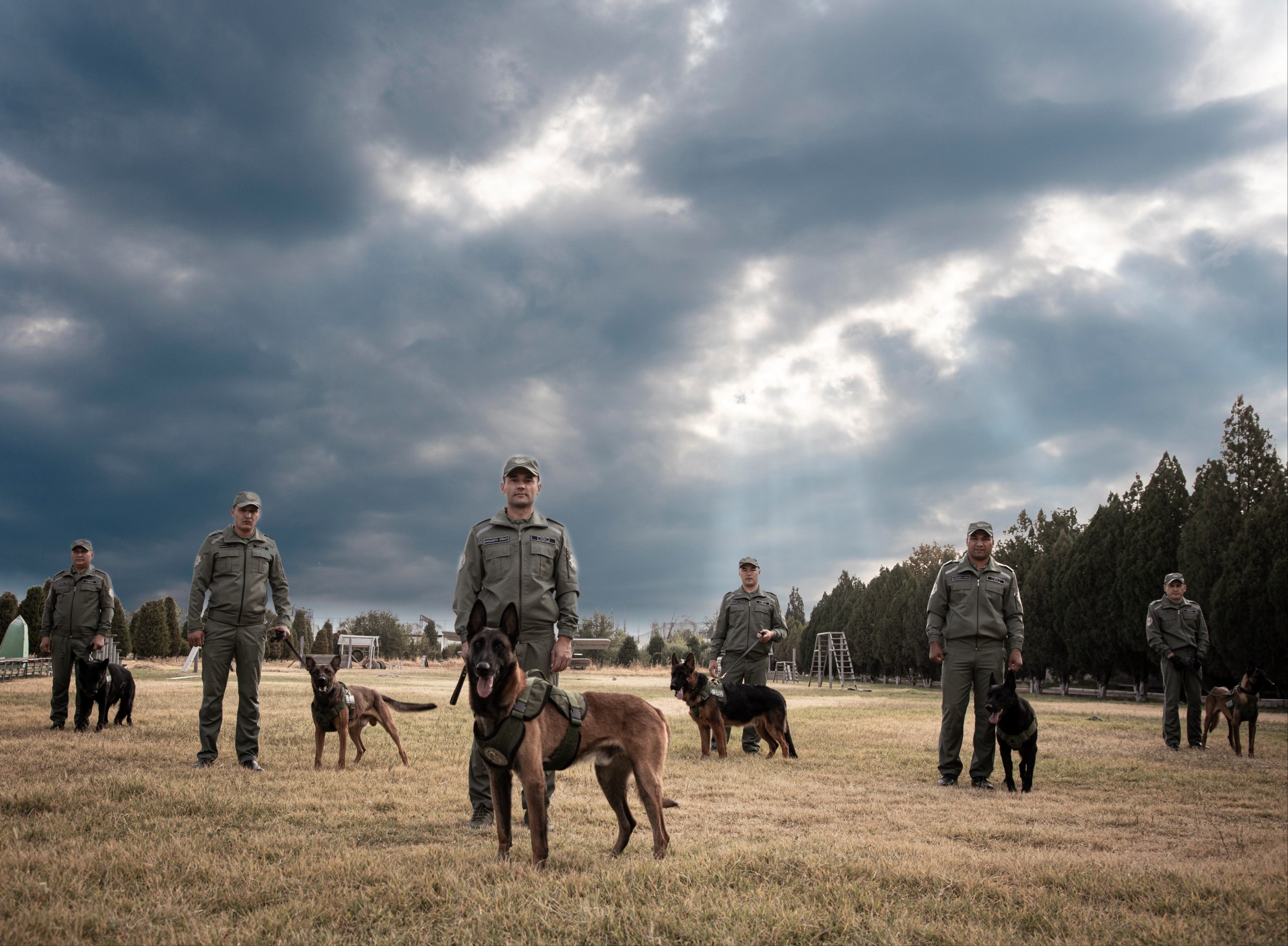National Canine Center of the Customs Committee