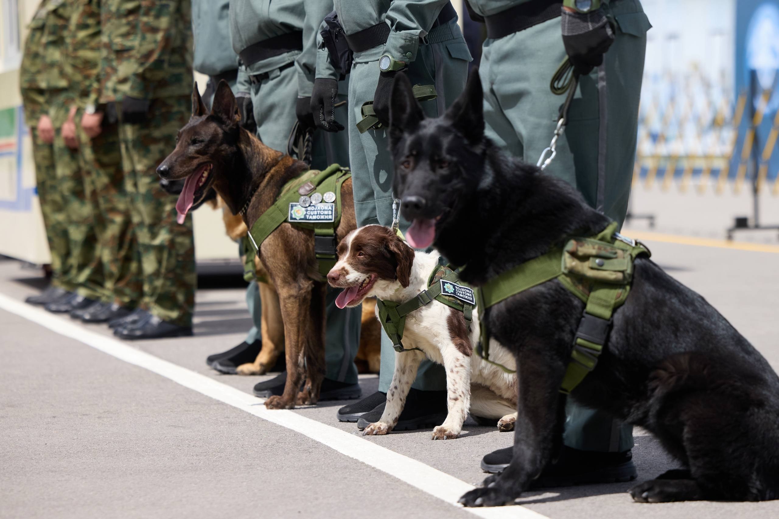 National Canine Center of the Customs Committee