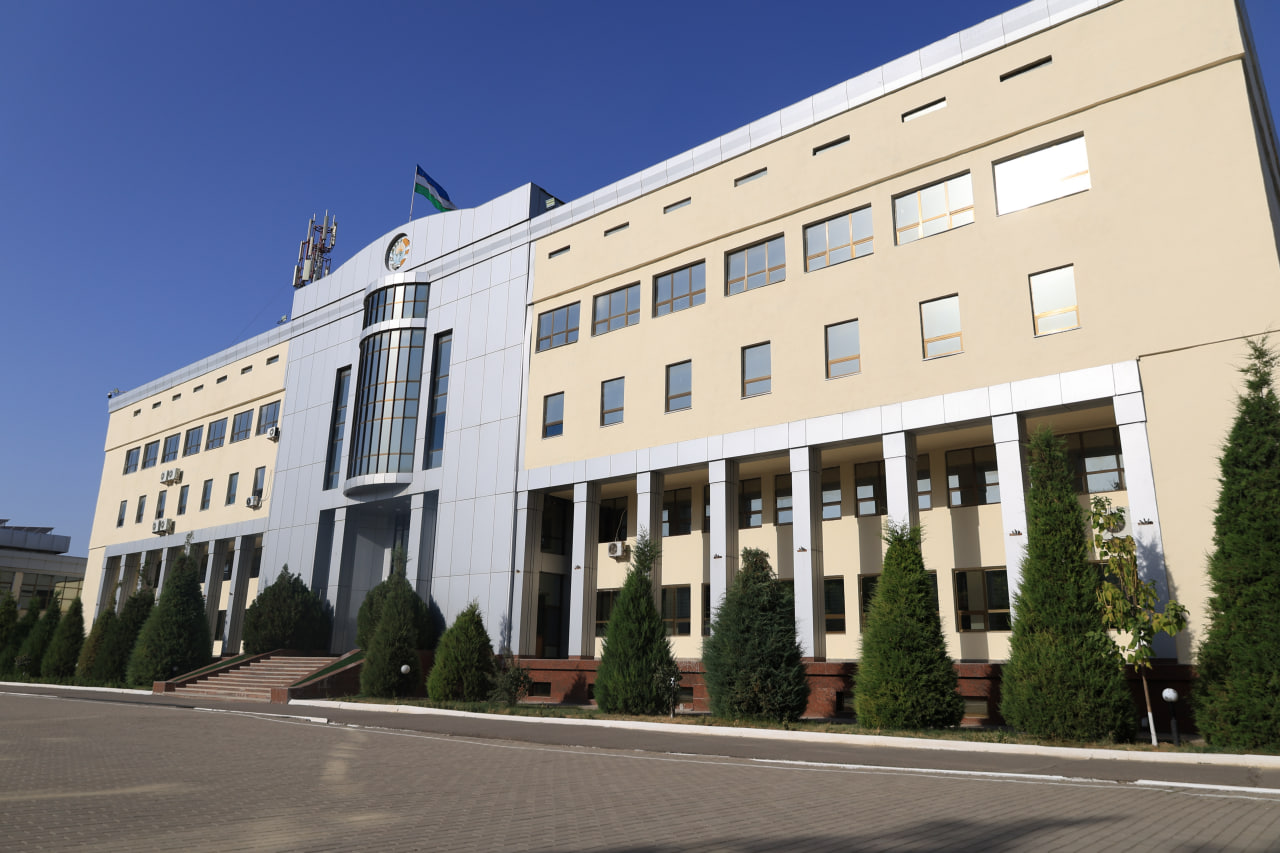 Customs Institute