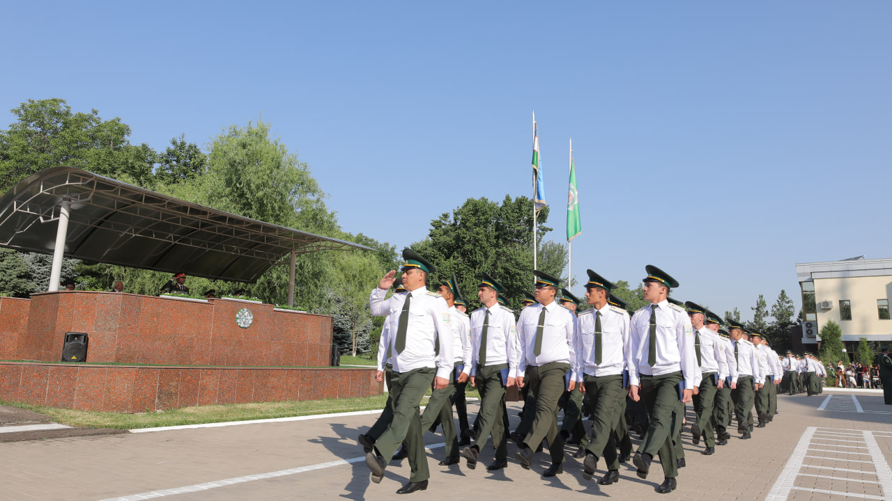 Customs Institute