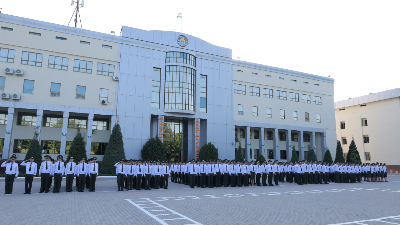 Customs Institute